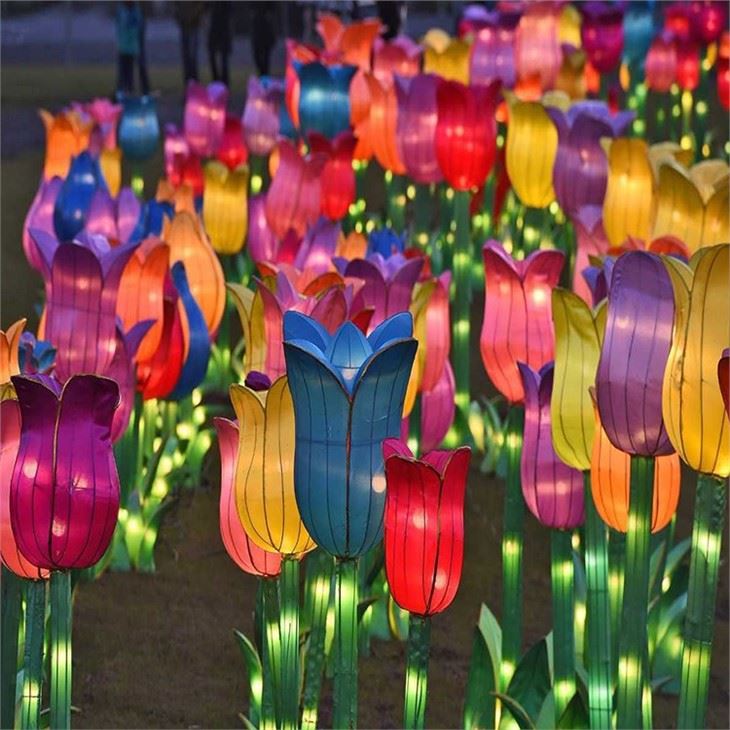 Luminous Lantern